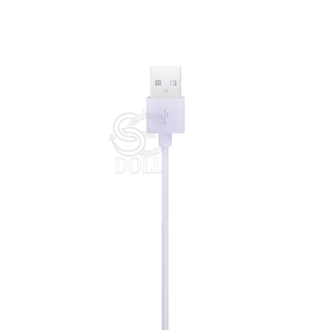 Dual Heating Rod for Sex Dolls – Double Warmer for Vagina & Anal - Dolls Lovers