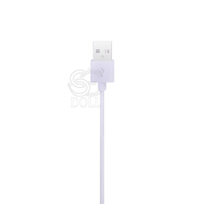 Dual Heating Rod for Sex Dolls – Double Warmer for Vagina & Anal - Dolls Lovers